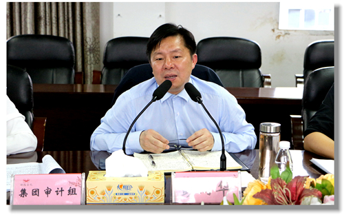 集團(tuán)黨委委員、紀(jì)委書記彭向華強(qiáng)調(diào)審計(jì)整改工作要深挖思想根源(圖2)