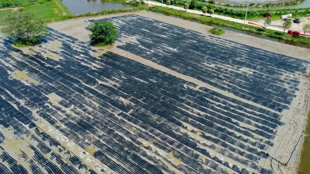 宜化全生物降解材料在河南推廣運(yùn)用(圖1) 圖片