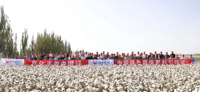 宜化豐收中國行！新疆棉花大型測產(chǎn)觀摩會成功舉行(圖1)